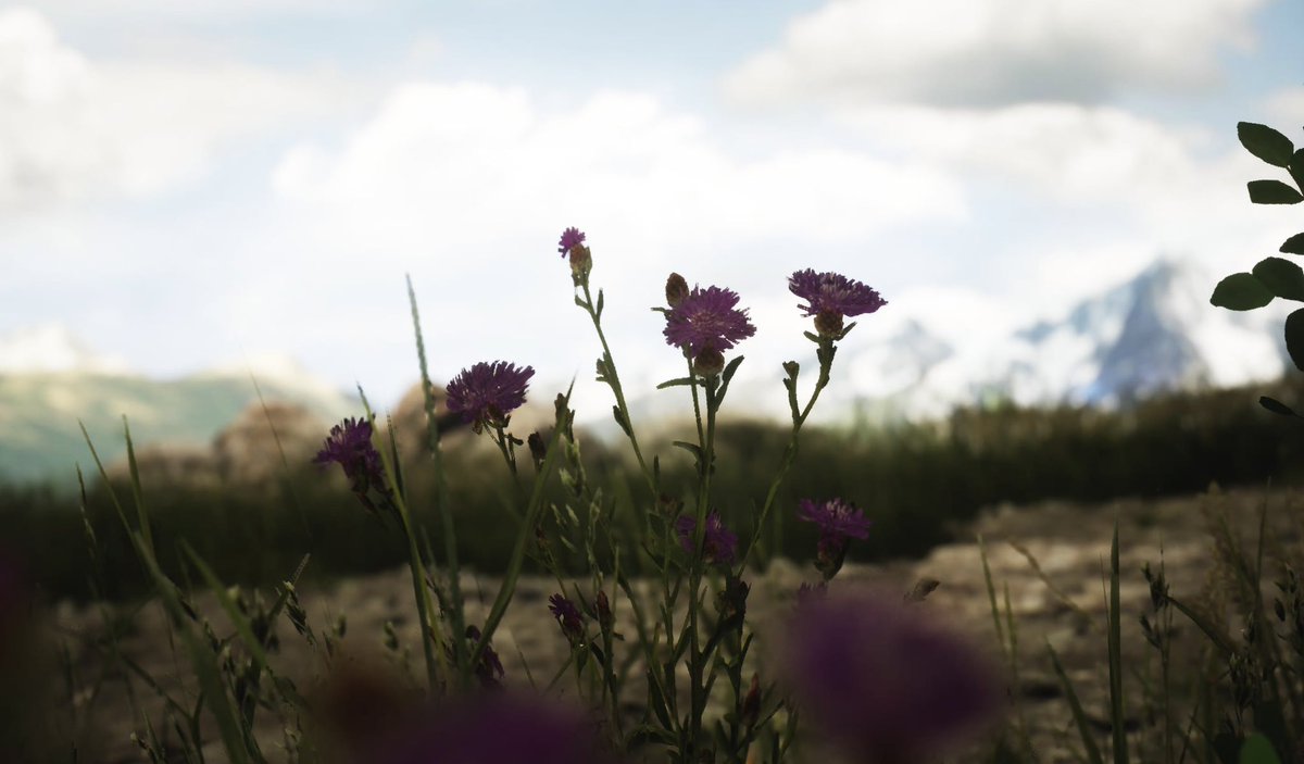 Taryn_VP's tweet image. Lushfoil Photography Sim (PS5)