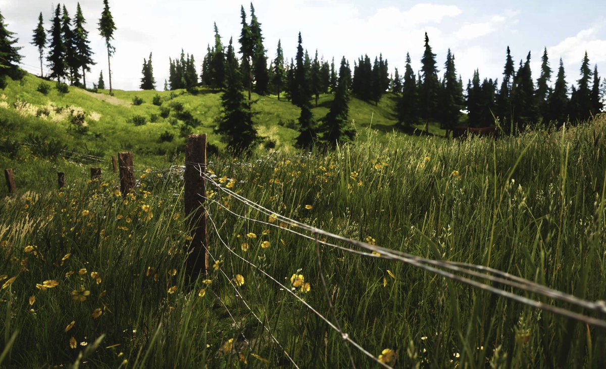 Taryn_VP's tweet image. Lushfoil Photography Sim (PS5)