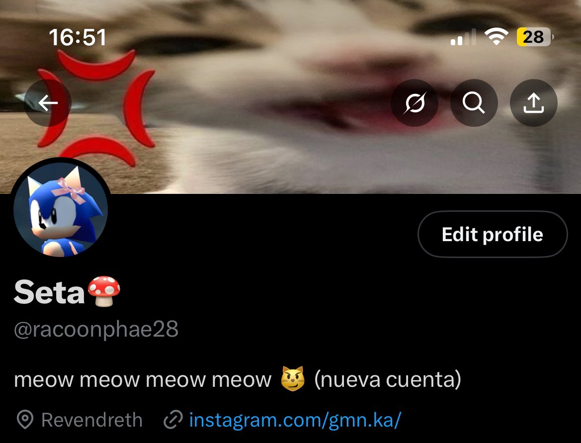 racoonphae28's tweet image. soy dos tipos de sonic