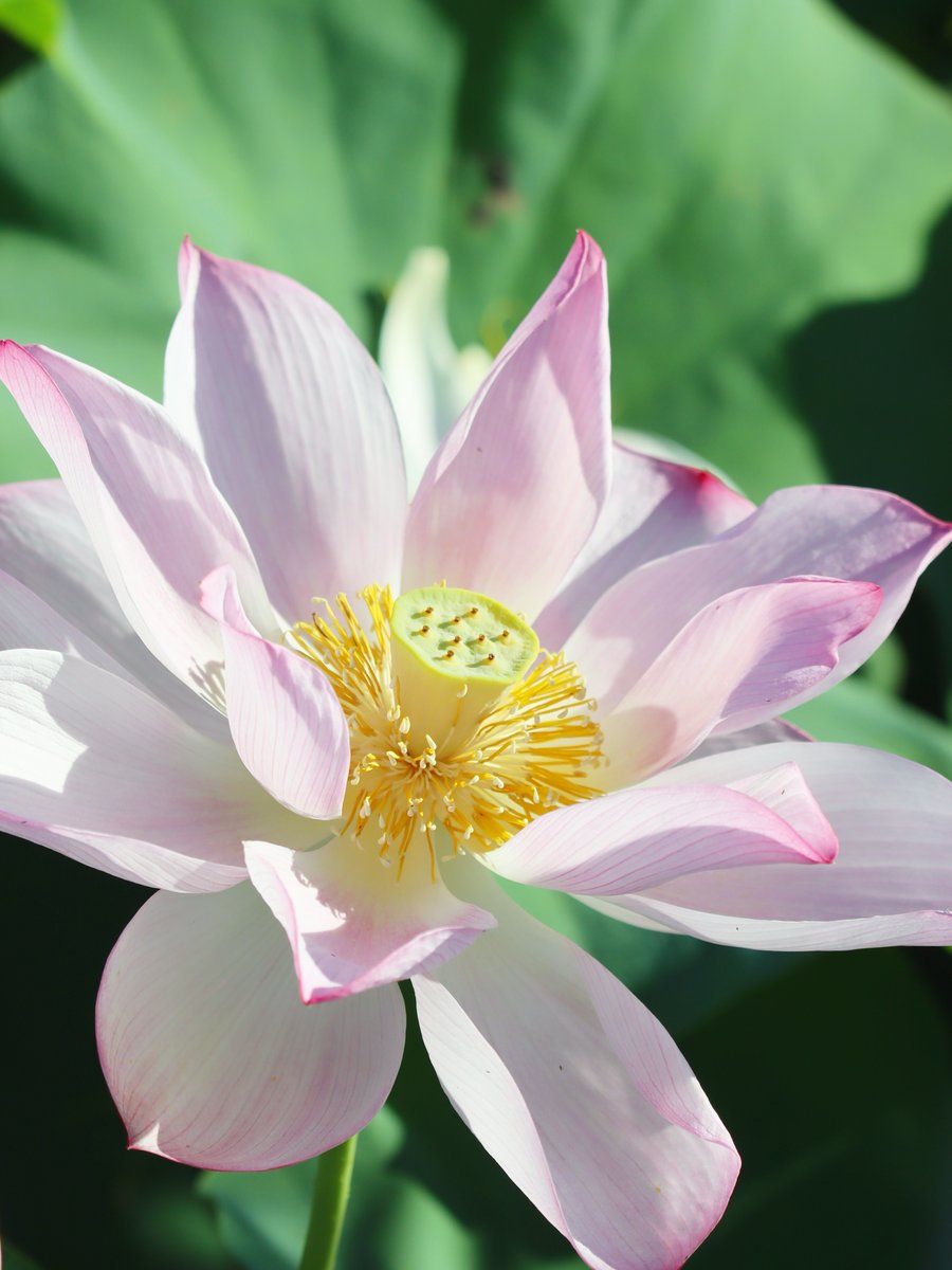 MaririnSiga's tweet image. 0302
257-20