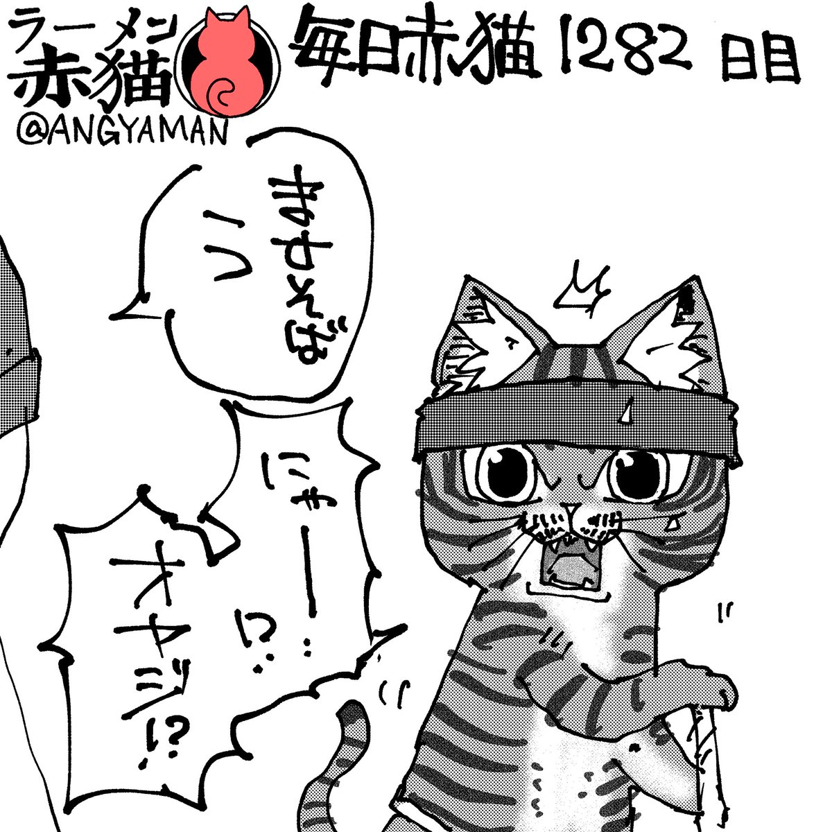 赤猫 杏 アンギャマン (@ANGYAMAN) / X