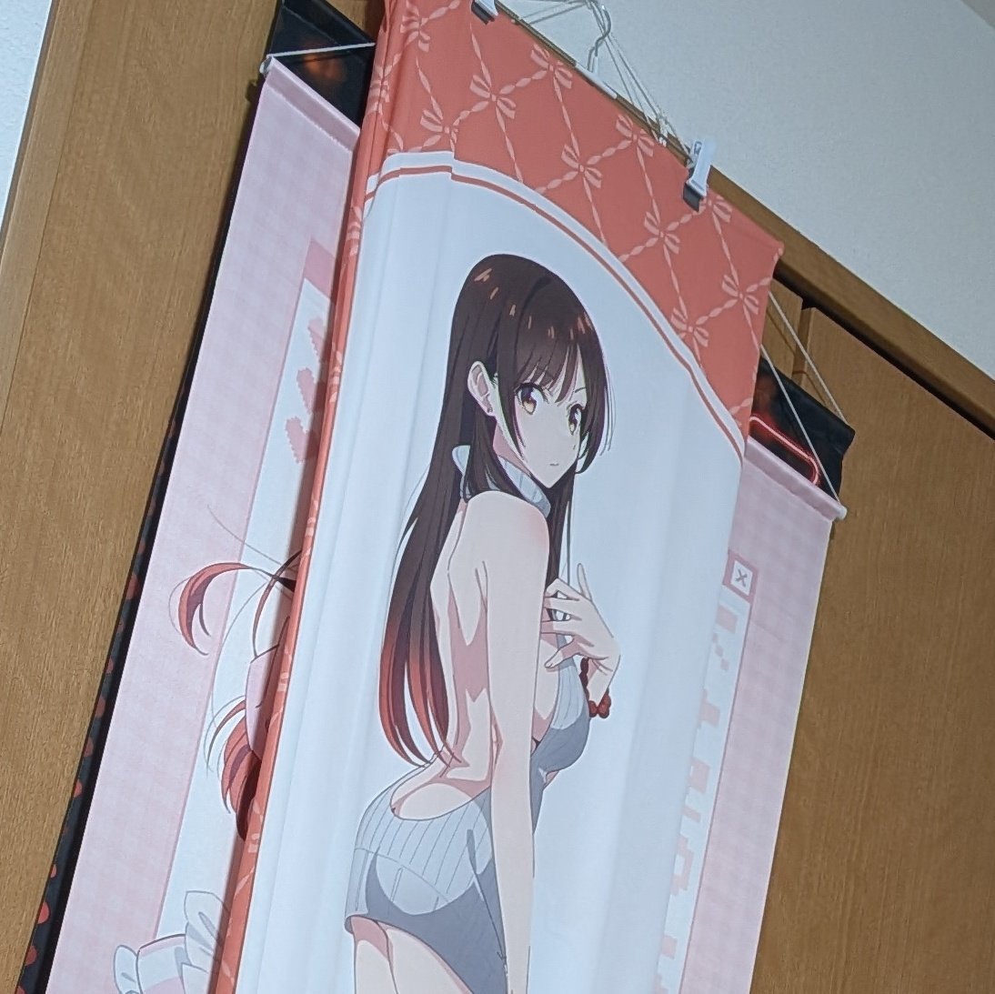 asakaa623's tweet image. 片付けても折戸だしな…飾るには厳しいよね……スペースないわ重なってると傷む気がする