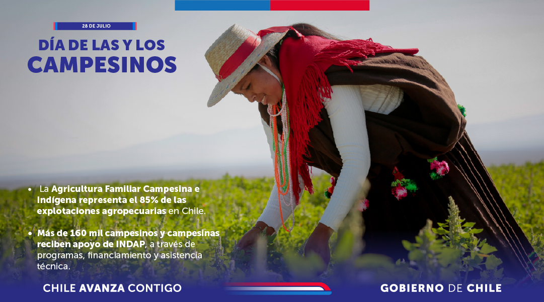 👩‍🌾🧑‍🌾 Como cada 28 de julio celebramos a nuestros agricultores y a nuestras agricultoras.

✅ Reconocemos su labor diaria, y la perseverancia y resiliencia para hacer agricultura en #Atacama, el desierto más árido del mundo
