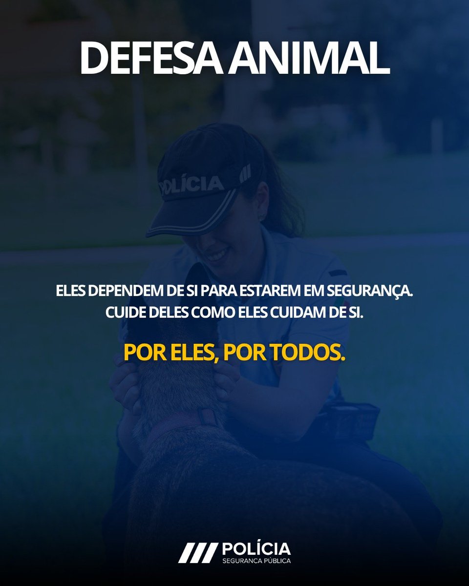 Proteja os animais neste verão!
O calor extremo pode ser fatal para os nossos companheiros de quatro patas.
#semprepresente