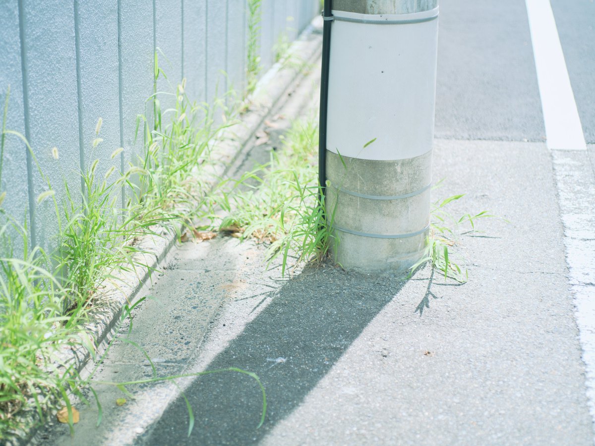 Kafkaonthe_'s tweet image. 