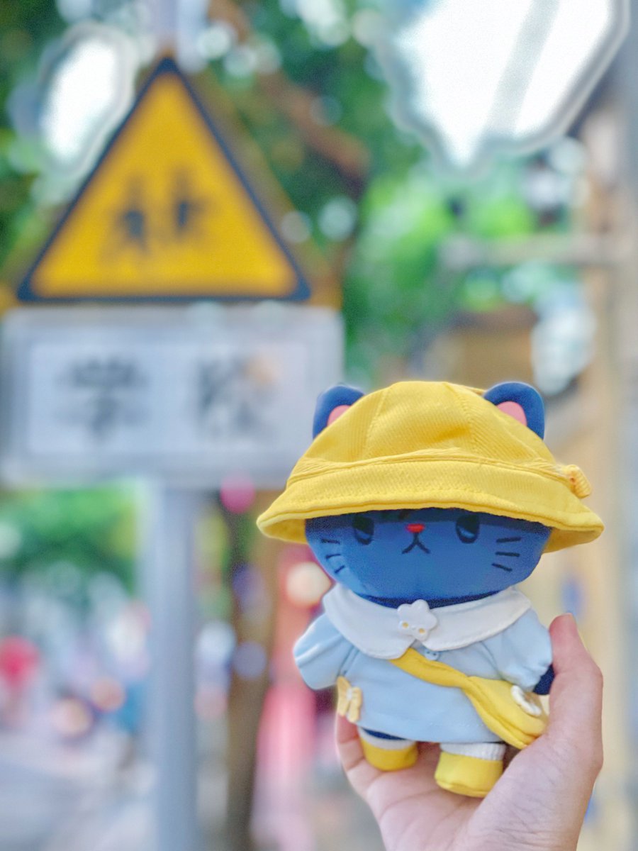 小宝宝上学了👼🏻

 #きょうのにゃんさん