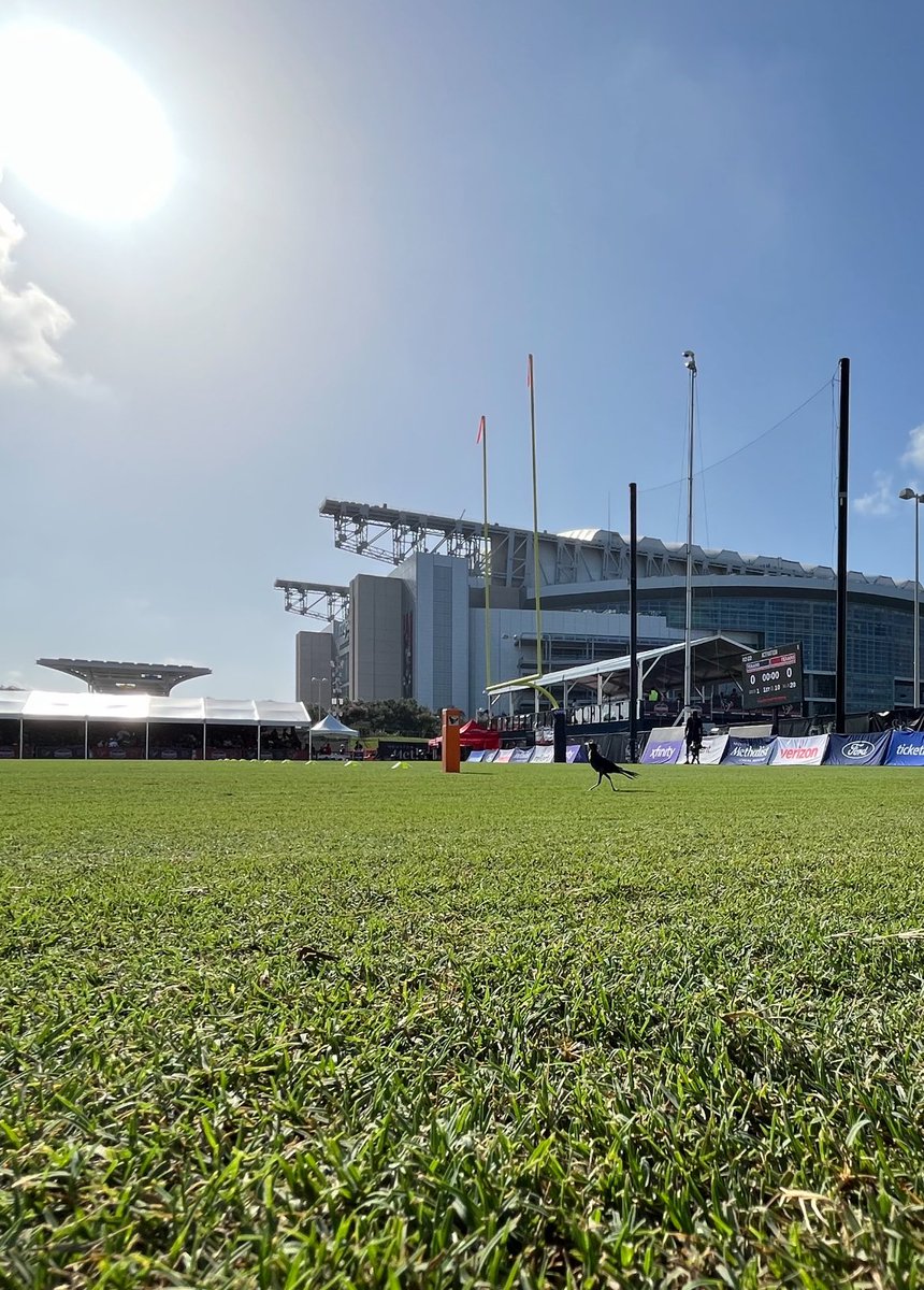 AdamJWexler's tweet image. A little birdie told me it’s a hot one today for 1st practice in pads.
#LookClosely #Texans #TrainingCamp