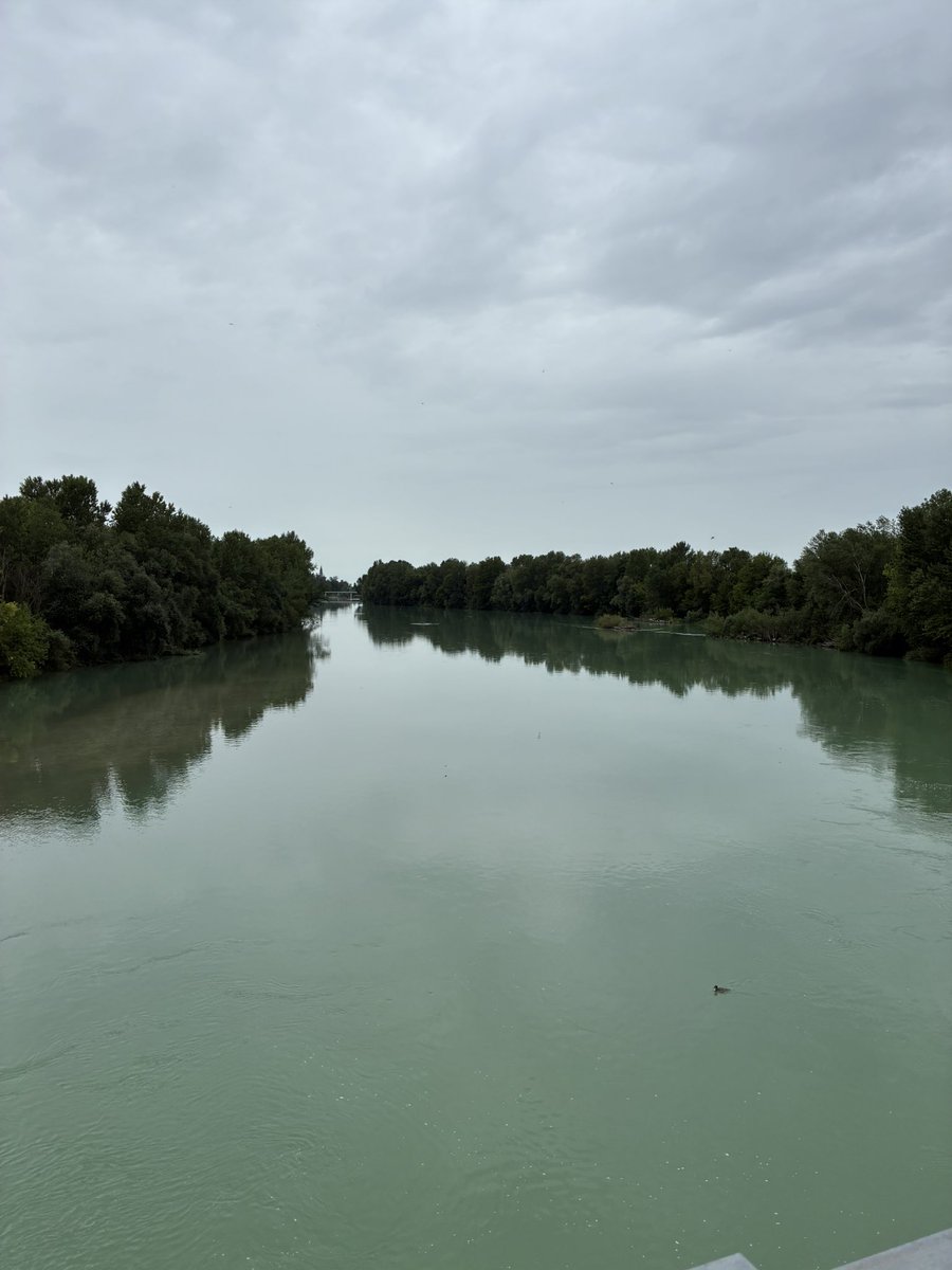 mariacr28250504's tweet image. #Isonzo…. #28luglio