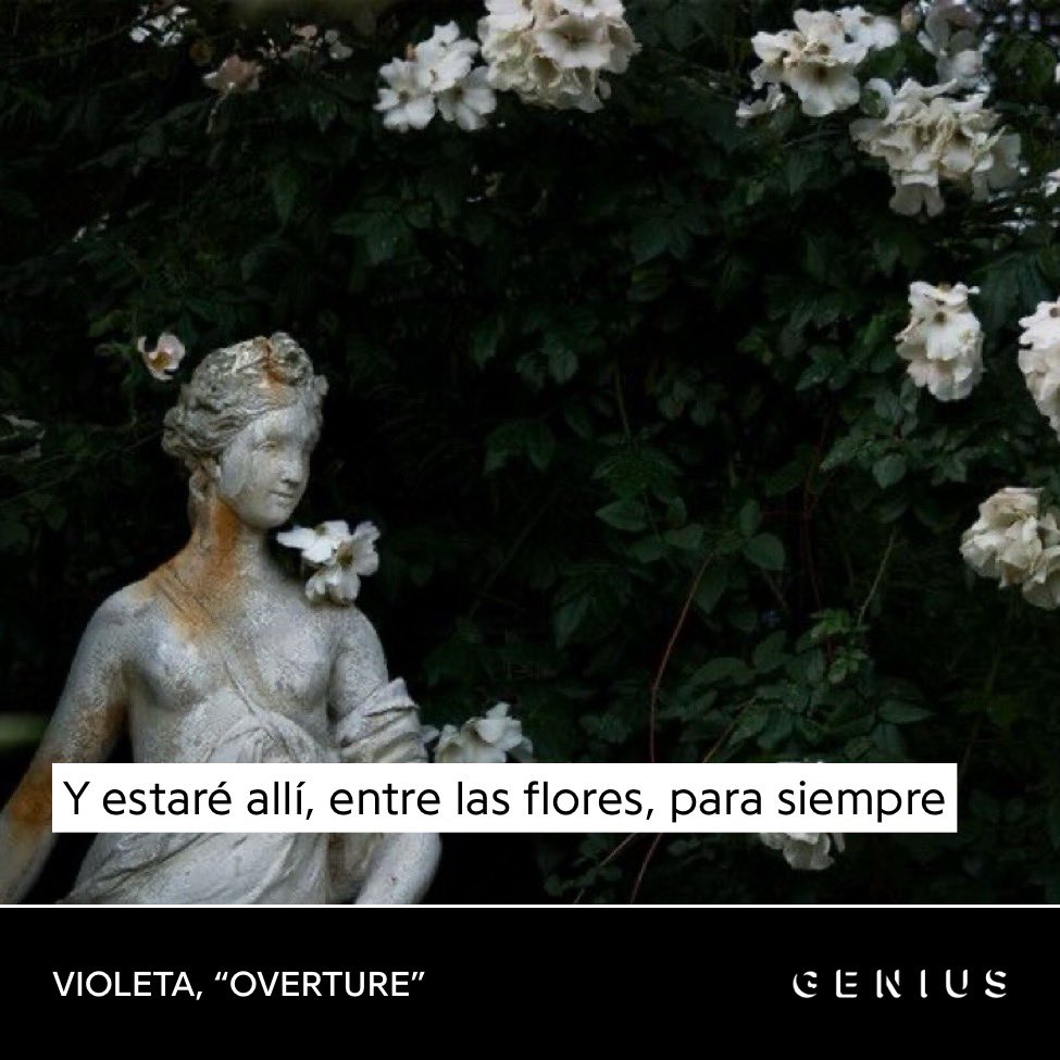 vissidvioleta23's tweet image. 