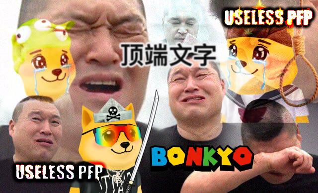 Bonkyopfp's tweet image. A useless PFP, a useless meme coin, built on Bonk for the smartest people of Solana. 

Bonkyo