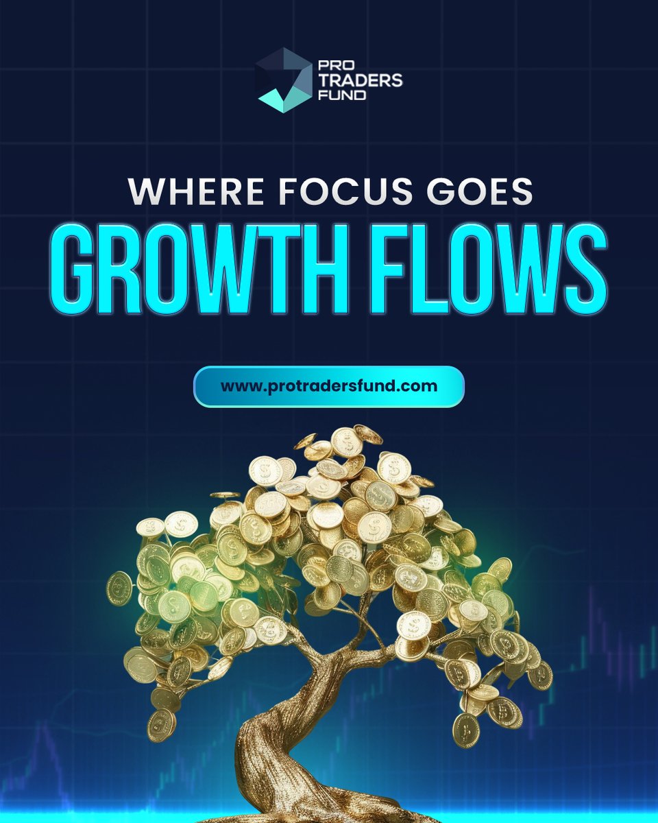 PRO TRADERS FUND tweet media