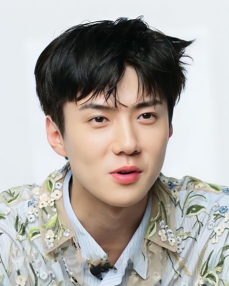 oshcinpcyaaa_'s tweet image. miss you even more 🥹

#세훈 #SEHUN