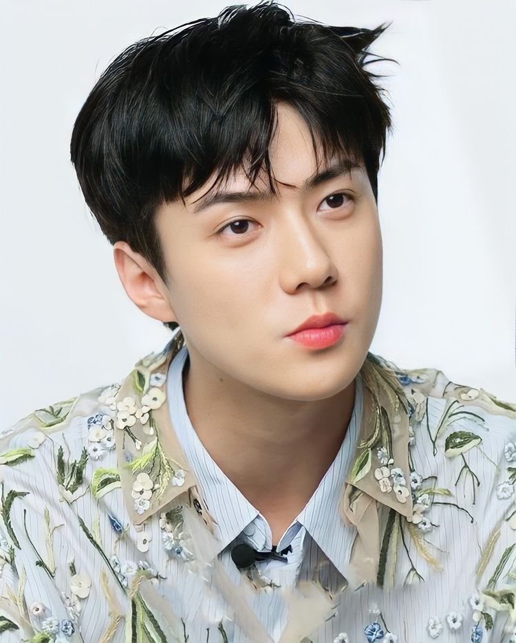 oshcinpcyaaa_'s tweet image. miss you even more 🥹

#세훈 #SEHUN
