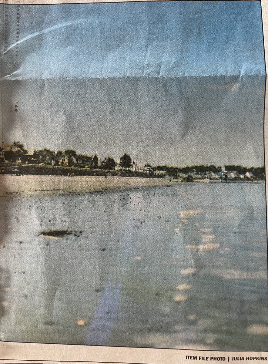 Friends of Lynn & Nahant Beach tweet media