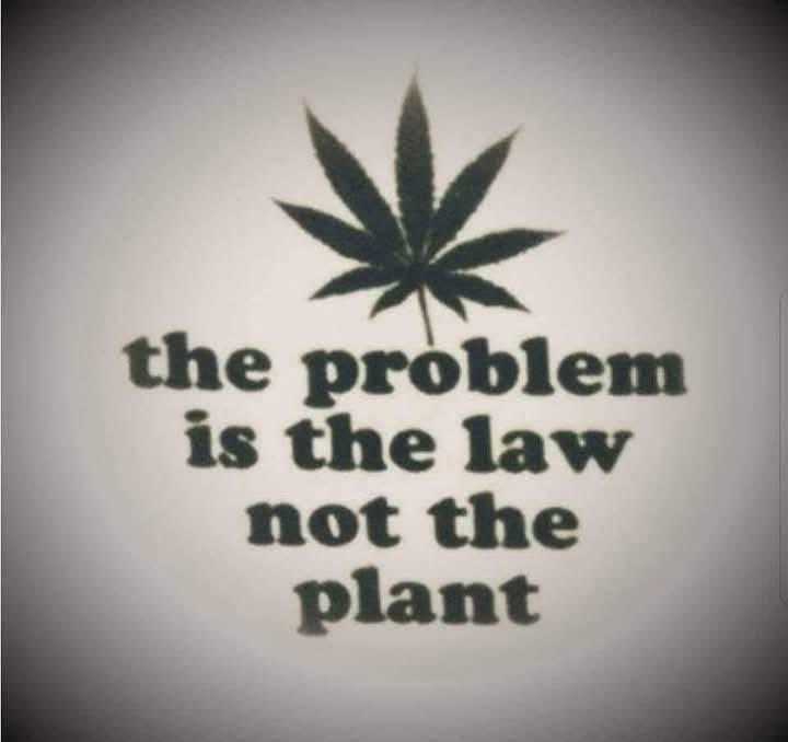 daviddinenberg's tweet photo. Absofuckinlutly!!!!!! #Cannabis #LegalizeIt #CannabisCommunity #Mmemberville https://t.co/8nuHWpDDND