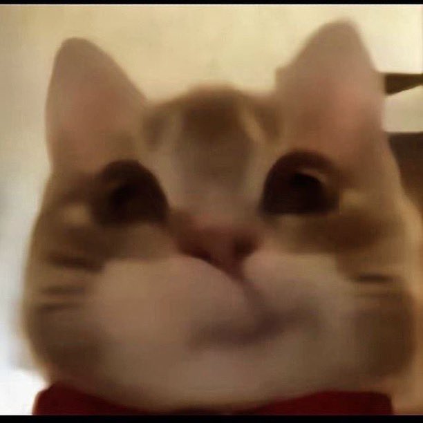 m0th3rhahn's tweet image. guys if y’all wanna be IG moots my acc is @/h4rknesss on insta hihi