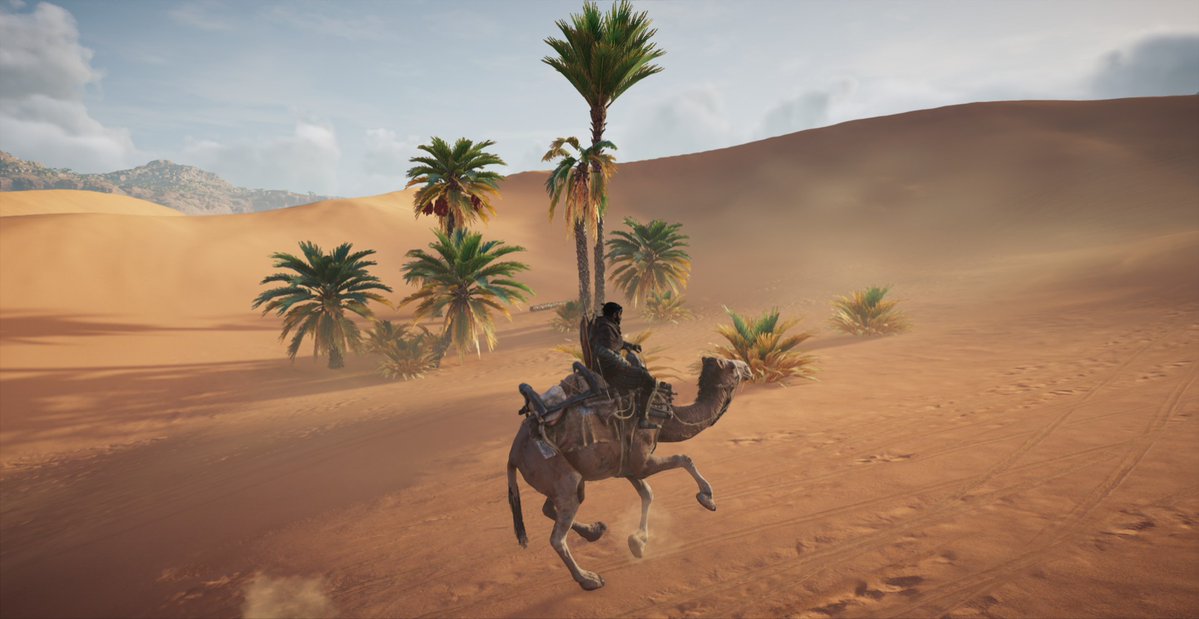 ReinaVRC's tweet image. ラクダで移動するのは楽だ🐪🐫
