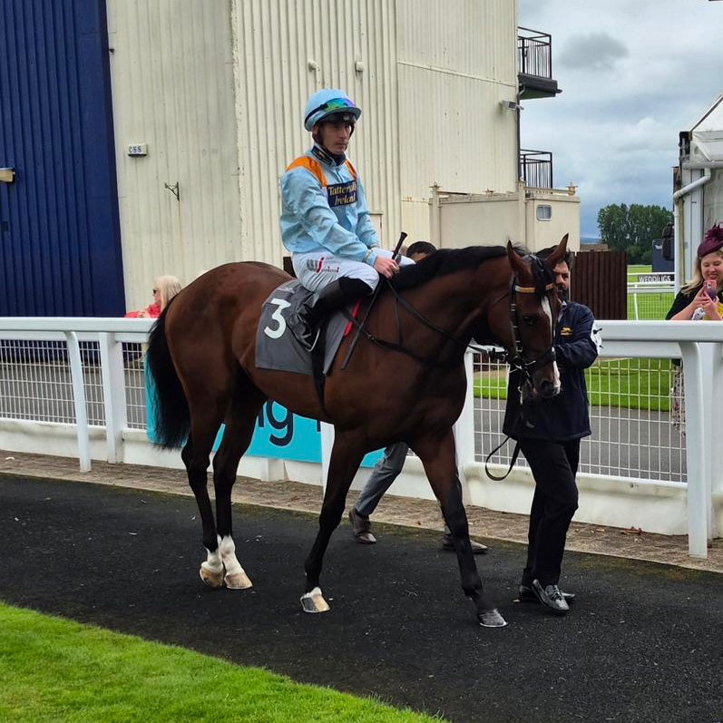 MprUpdates's tweet image. A promising debut from SHOULDBEANOTHERING, finishing 2nd at @ayrracecourse. Plenty to build on!🥈💍
📸 @McK_L_
#TeamMPR