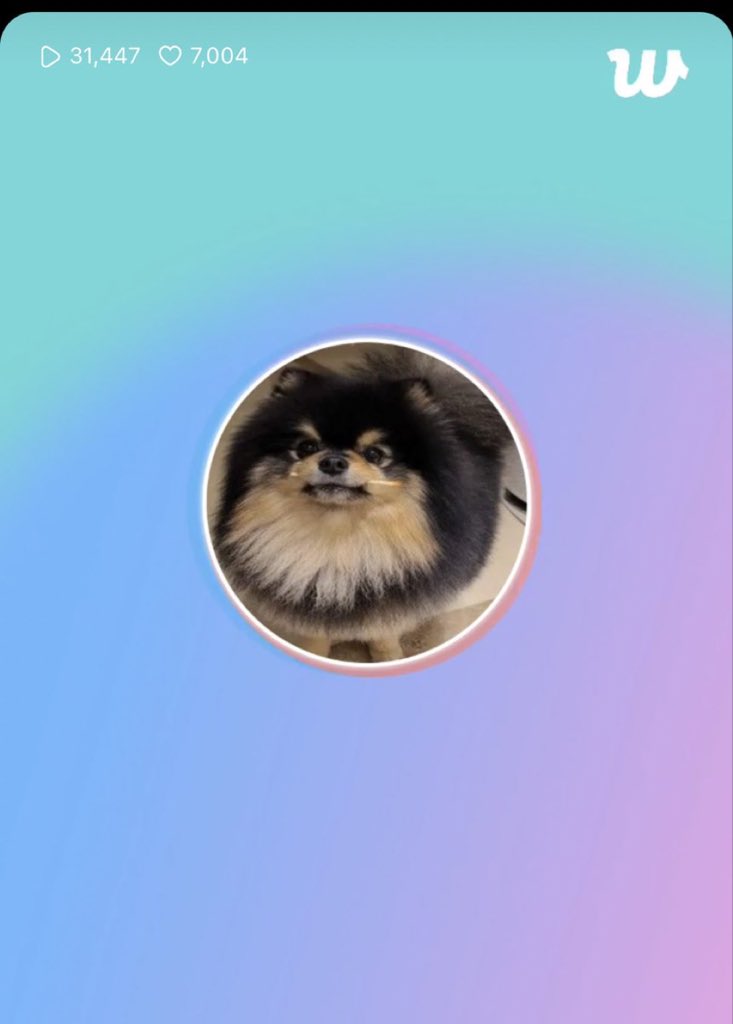 taehyungabs__'s tweet image. TAEHYUNG LIVE ON WEVERSE 😭