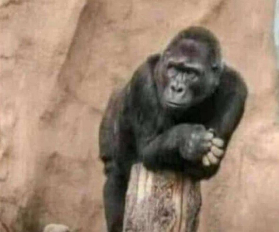 hun256's tweet image. Me when my homies are talking about lunch 😒and supper