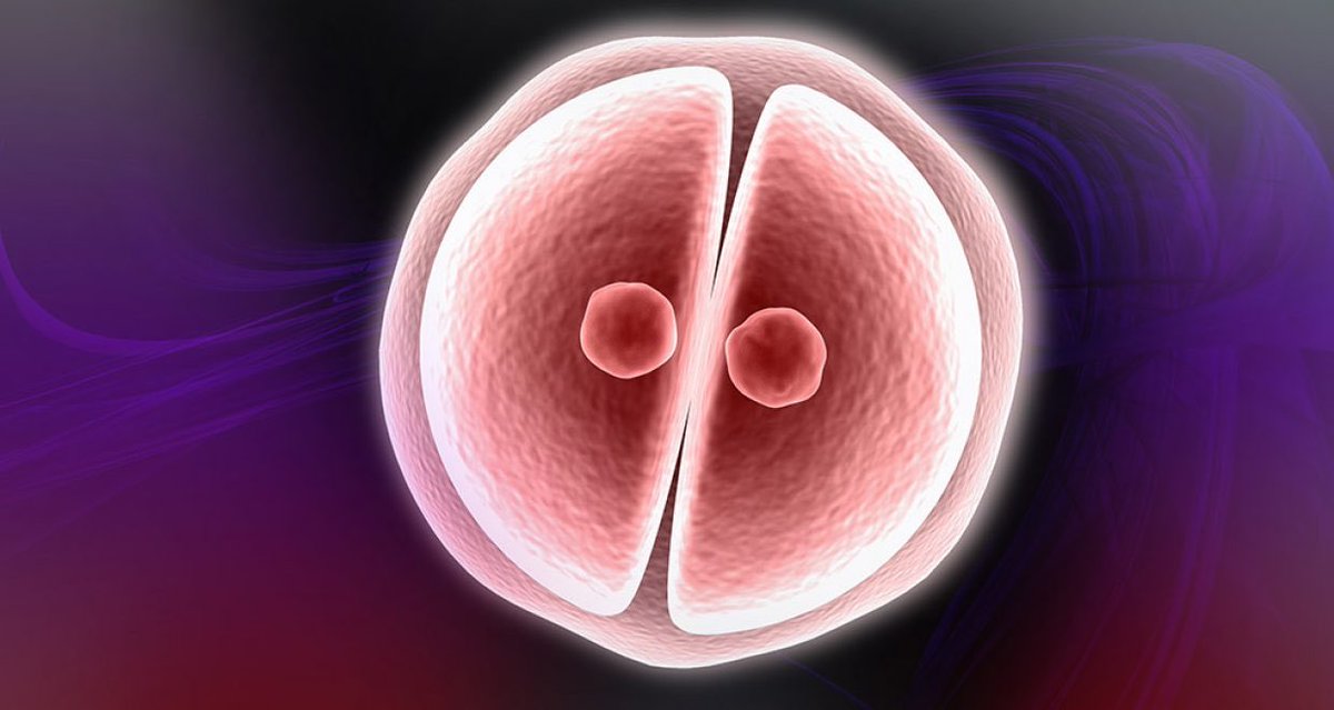 EqualProtectGA's tweet image. This is a human being created in the image of God.

It is equally evil to murder this human being as it is to do so at any other stage of development born or unborn.