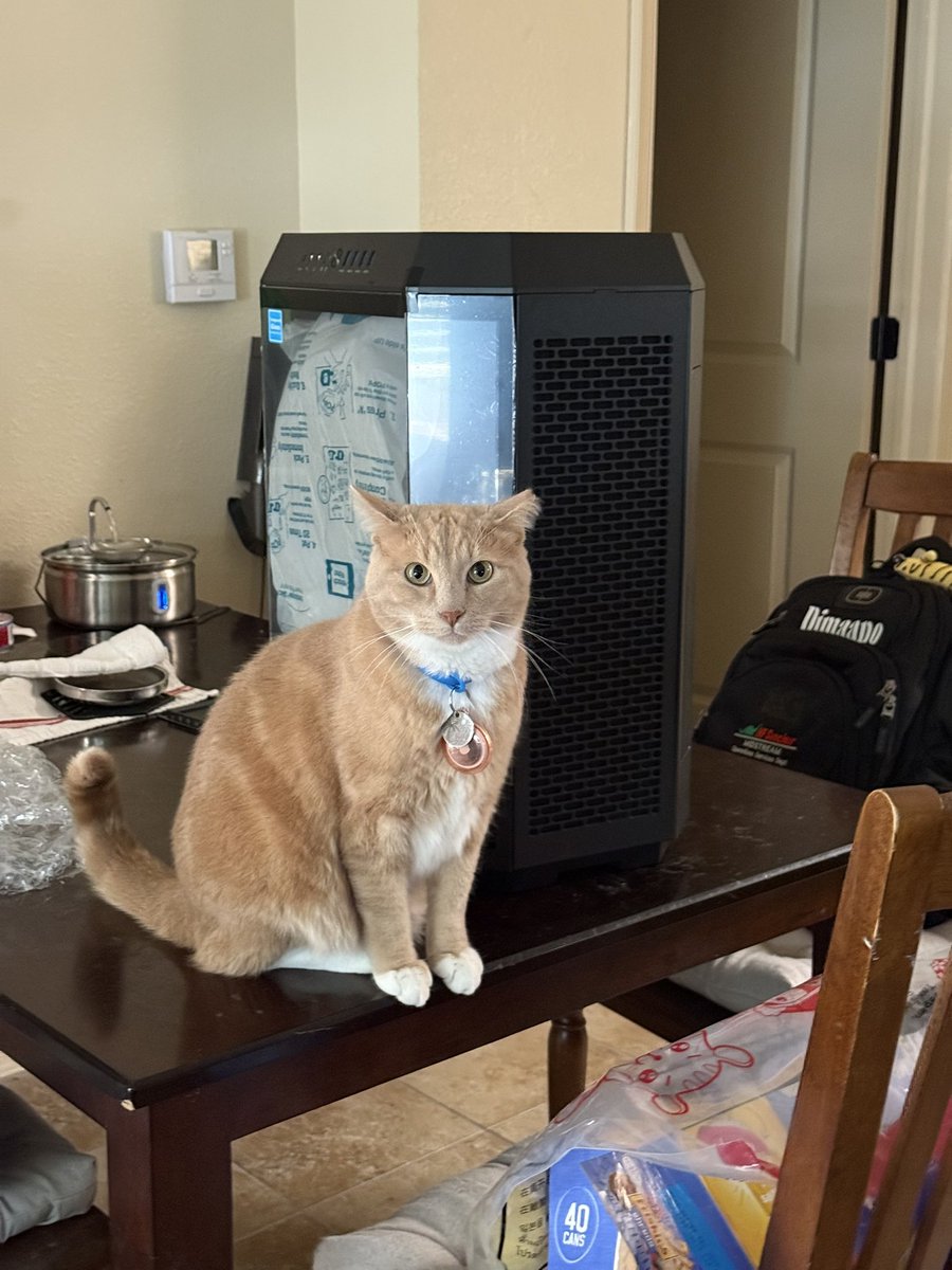 My baby girls ft. new PC lmao