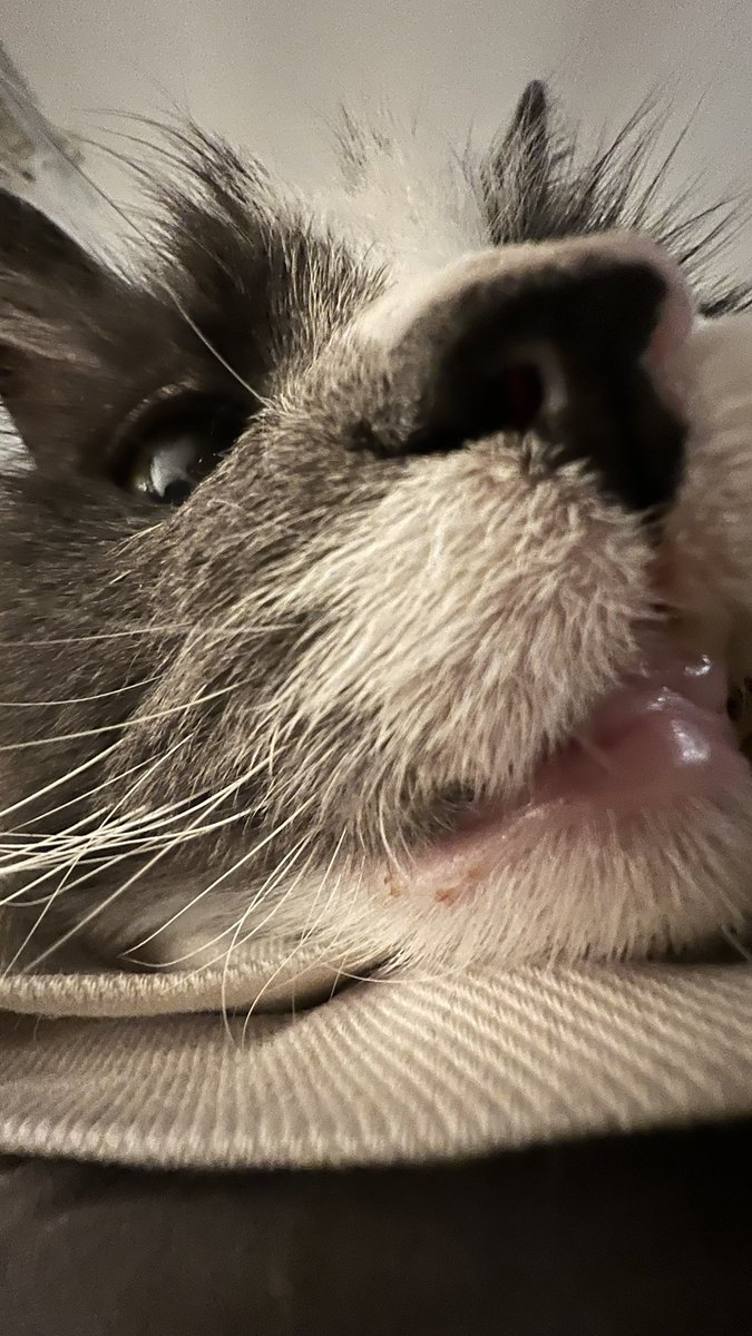 the sequel to evan slim: Evan Abstract