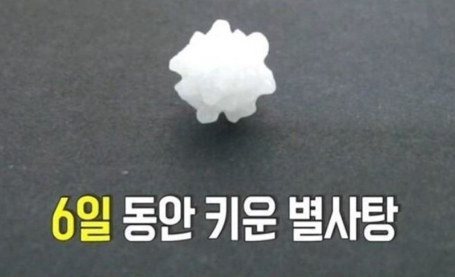gaedaechoon's tweet image. ㅇㄱㅈㅉㅇㅇ?