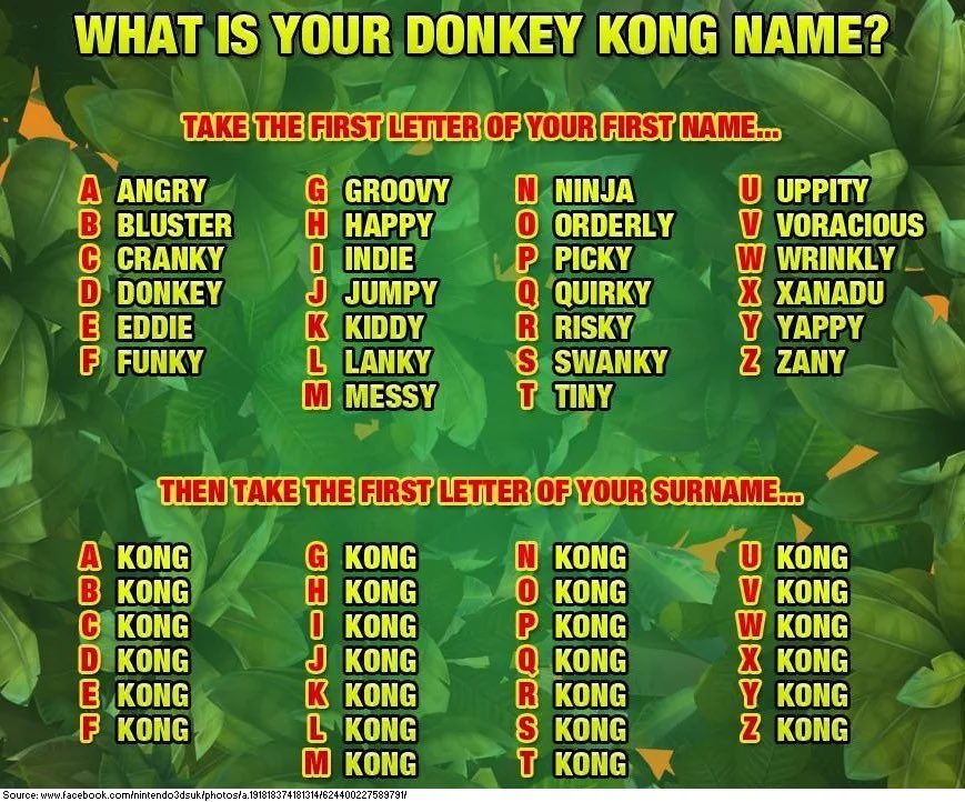 the_snoc_guy's tweet image. Yappy Kong goes kinda hard ngl