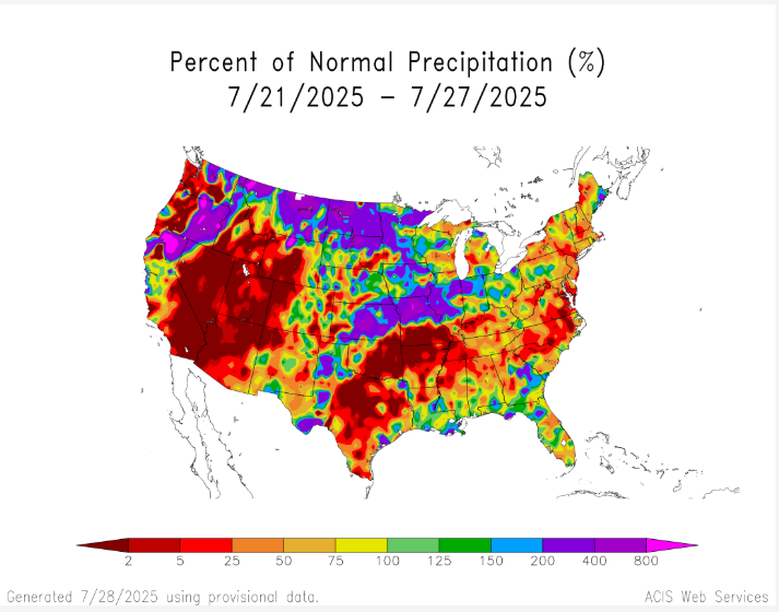 iwatchcorn's tweet image. Corn conditions are historically steady/lower this time of year. This afternoon's report will be interesting given the widespread coverage of overly tight tassel wrap.
