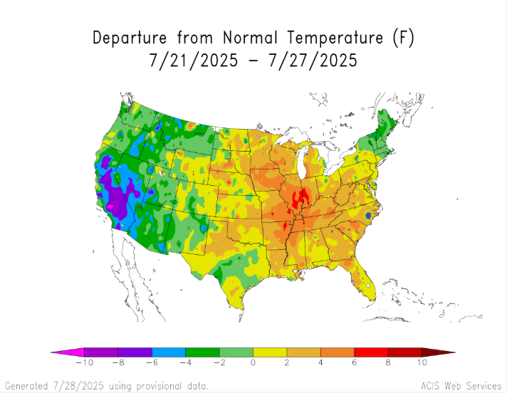 iwatchcorn's tweet image. Corn conditions are historically steady/lower this time of year. This afternoon's report will be interesting given the widespread coverage of overly tight tassel wrap.