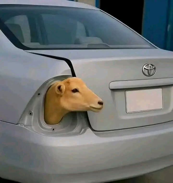 meri_mrzi's tweet image. جب X پر آپ کسی کو میوٹ یا بلاک کر دیں
لے فیر وہ وہ دوسری جگہ سے 😂🤣🤣
.
#Funny
#اردو_زبان