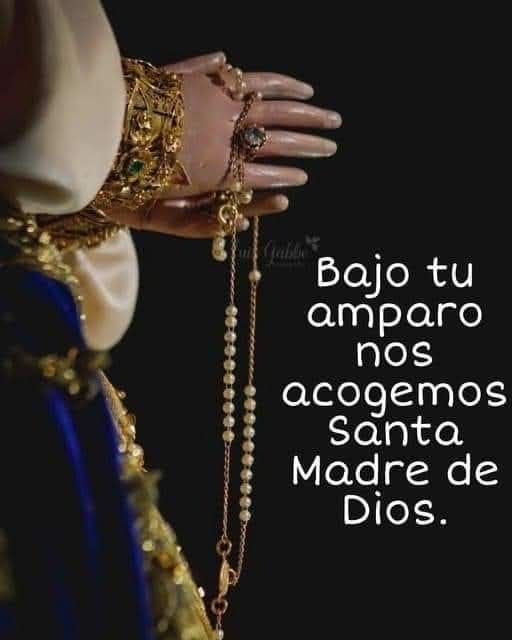 Hna. Esperanza (@espefraternidad) on Twitter photo 