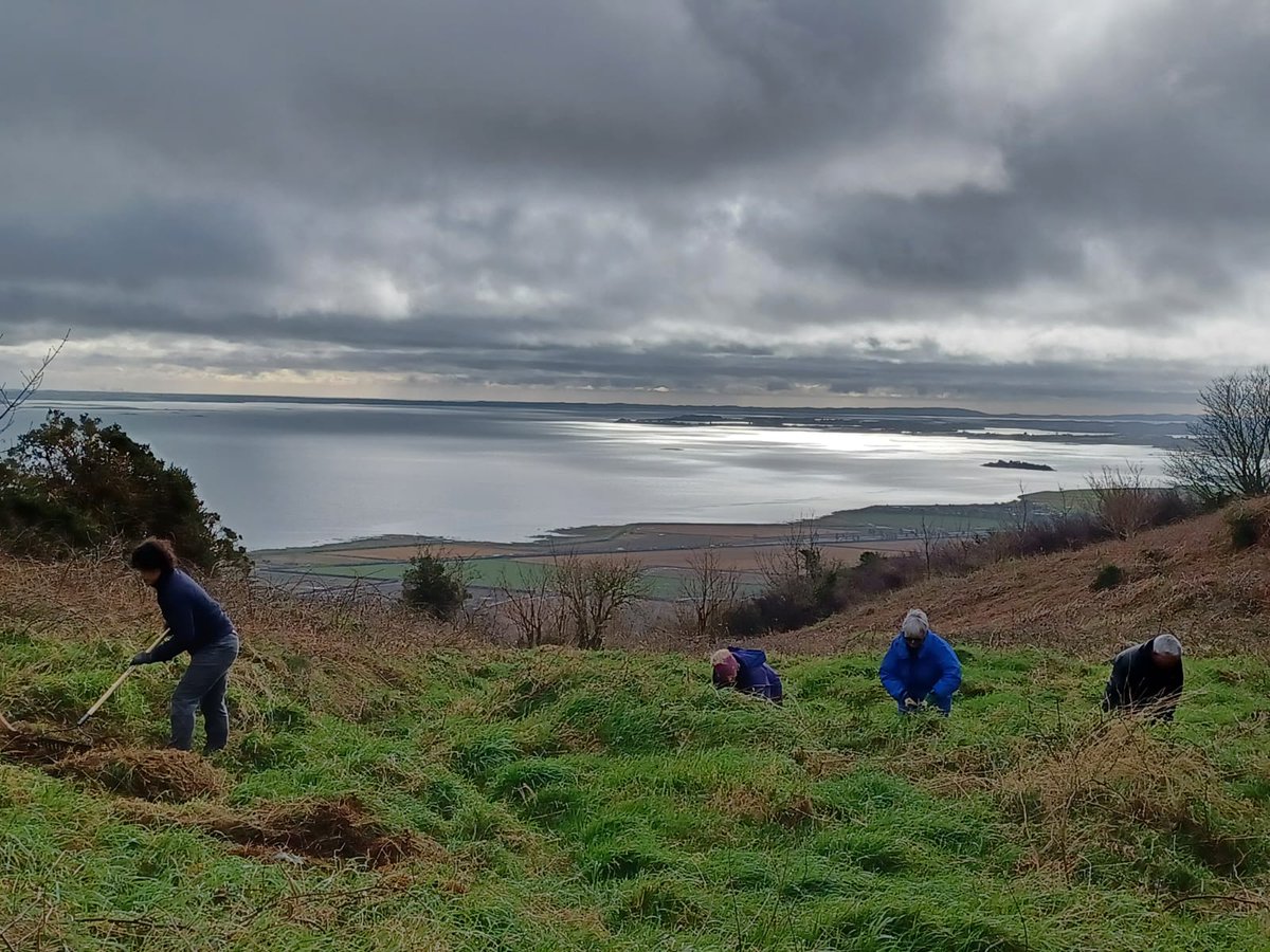 NT Strangford Lough tweet media