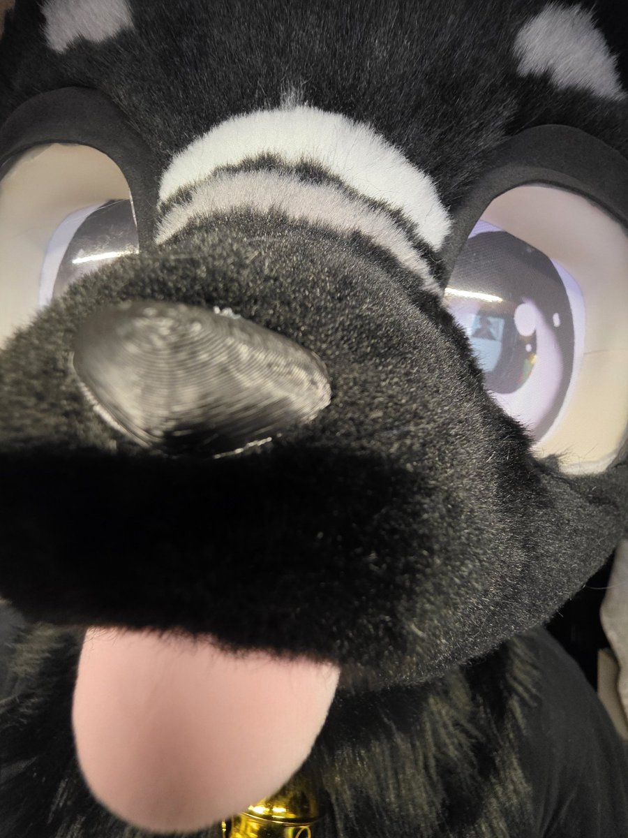 kuro_o1031's tweet image. 님덜 그거아세요?

저 내일 또 옾프잇음
몸살나겟슴 ㅇㅅㅇ