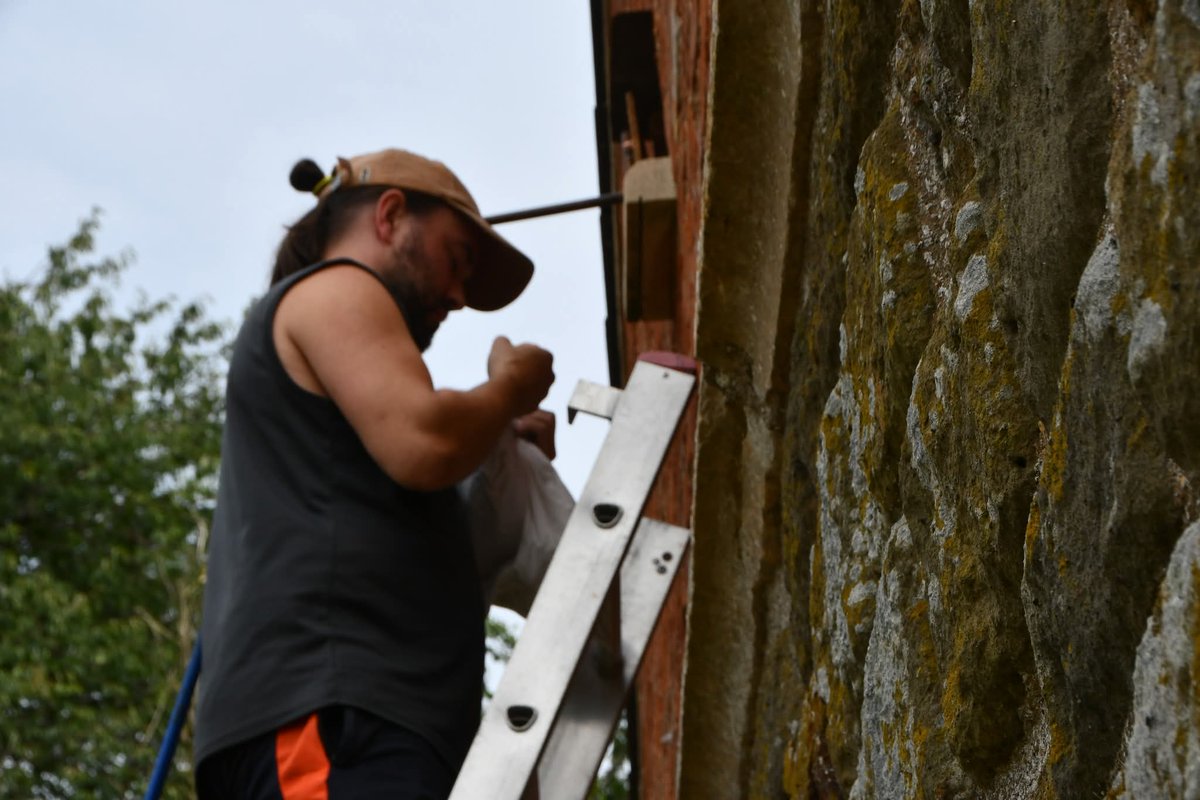 On Sunday 27 July 2025 the Sutterby Barn Owl Box was checked Dr Chris Batey from the RSPB who is licensed to handle &amp; ring wild birds. Sadly no barn owl chicks this year but there were 2 adult owls in the box. Chris carefully removed these owls &amp; gave them both a health check.