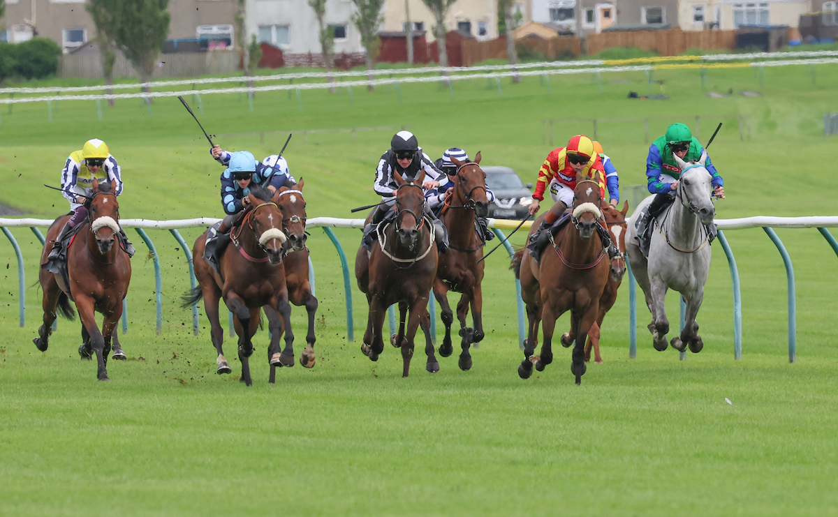 What a nice forecast! Boy Douglas (3-1) and Count Palatine (33-1) fill the first two places at <a href="/ayrracecourse/">Ayr Racecourse</a>.
That's a double for owner Frank Lowe and jockey <a href="/connorbeasley9/">Connor Beasley</a> and an 11th winner for the yard in July.