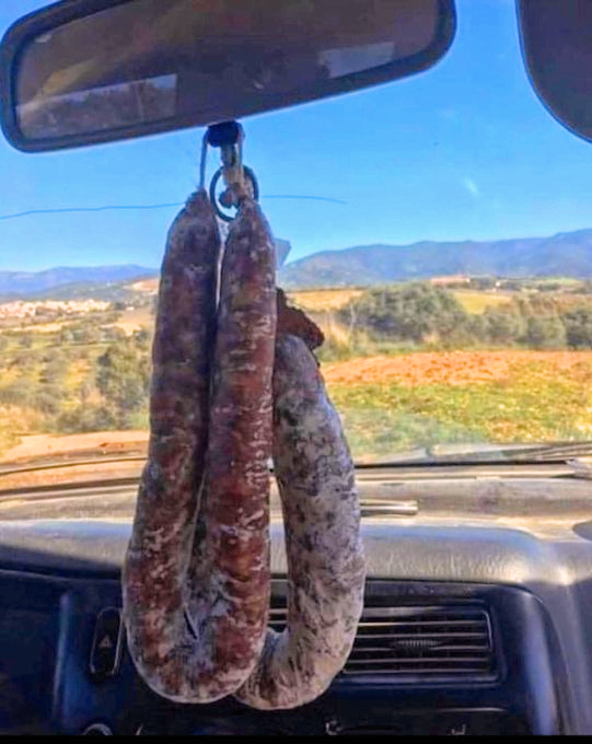 grâce à ce précieux PORTE-BONHEUR,
ma voiture n'a connu AUCUN VOLEUR...