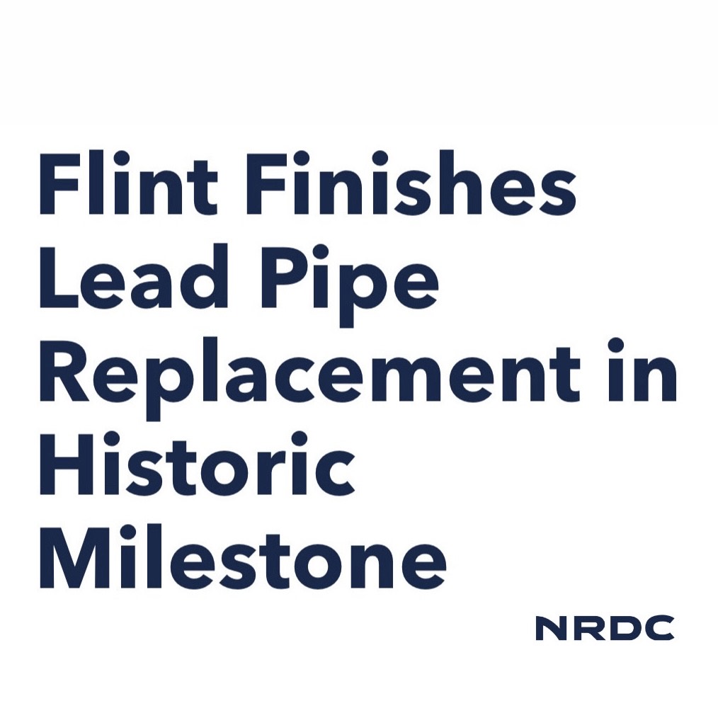 Hillary Clinton tweet media