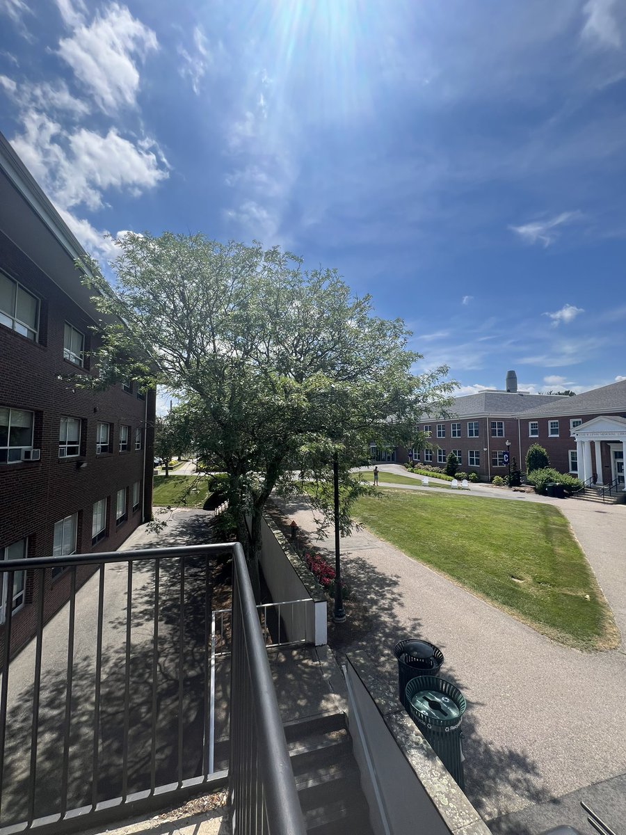 CurryEdu's tweet image. Hafer, The Learning Commons, and the Library📚📝