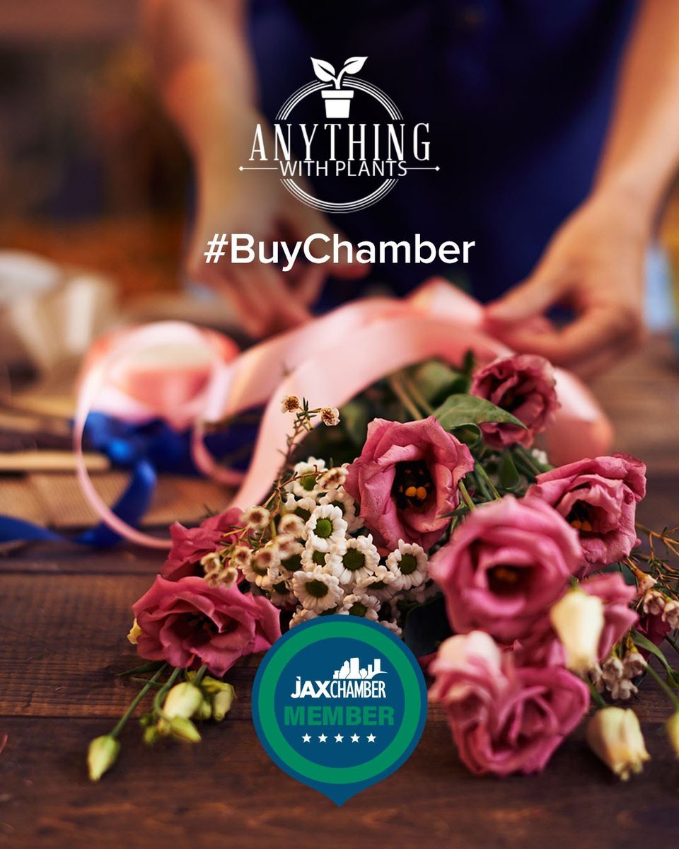 JAX Chamber (@jaxchamber) on Twitter photo 🌿Our Chamber member, <a href="/AnythingWPlants/">AnythingWithPlants</a> & Flowers, has been making Jacksonville greener since 1972 and has been part of the JAX Chamber family since 1996.
They’re the go-to team for gorgeous plant designs and floral arrangements that brighten up any space!
Check them out at 🌿Our Chamber member, <a href="/AnythingWPlants/">AnythingWithPlants</a> & Flowers, has been making Jacksonville greener since 1972 and has been part of the JAX Chamber family since 1996.
They’re the go-to team for gorgeous plant designs and floral arrangements that brighten up any space!
Check them out at