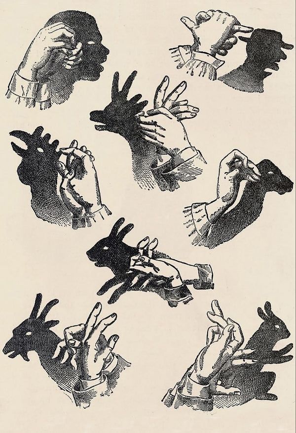 aflashbak's tweet image. Hand shadows from Antique Childrens Book, Home Lessons, Learning Made – Flashback Shop flashbackshop.com/en-es/products…