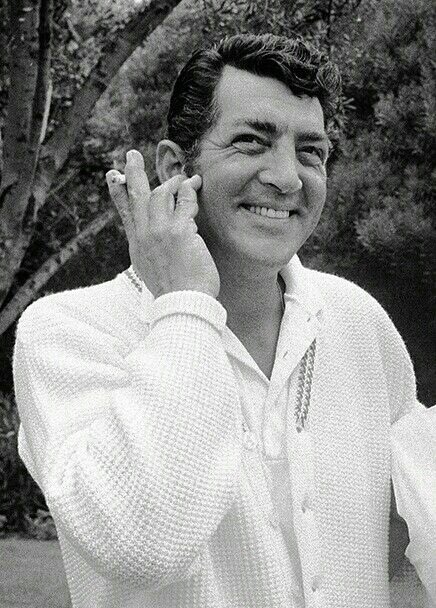 leave a like for Dino ✨