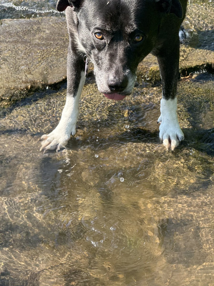 Matt Sztajnkrycer tweet media