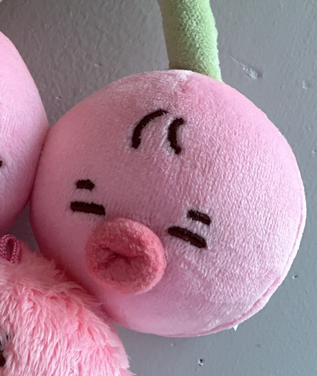 whxtdoicallyou's tweet photo. (´- ʘ -`) ~ https://t.co/aXrhopN4F8