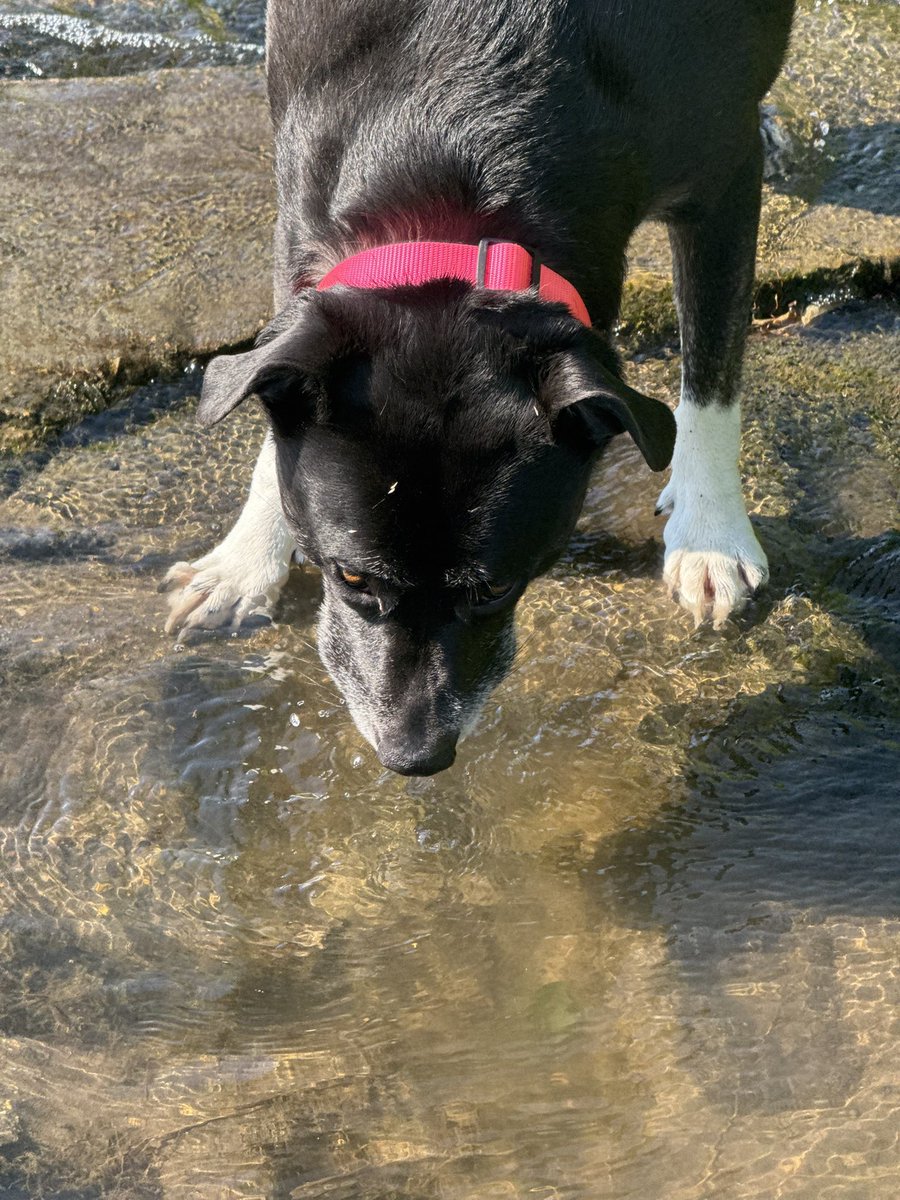 Matt Sztajnkrycer tweet media