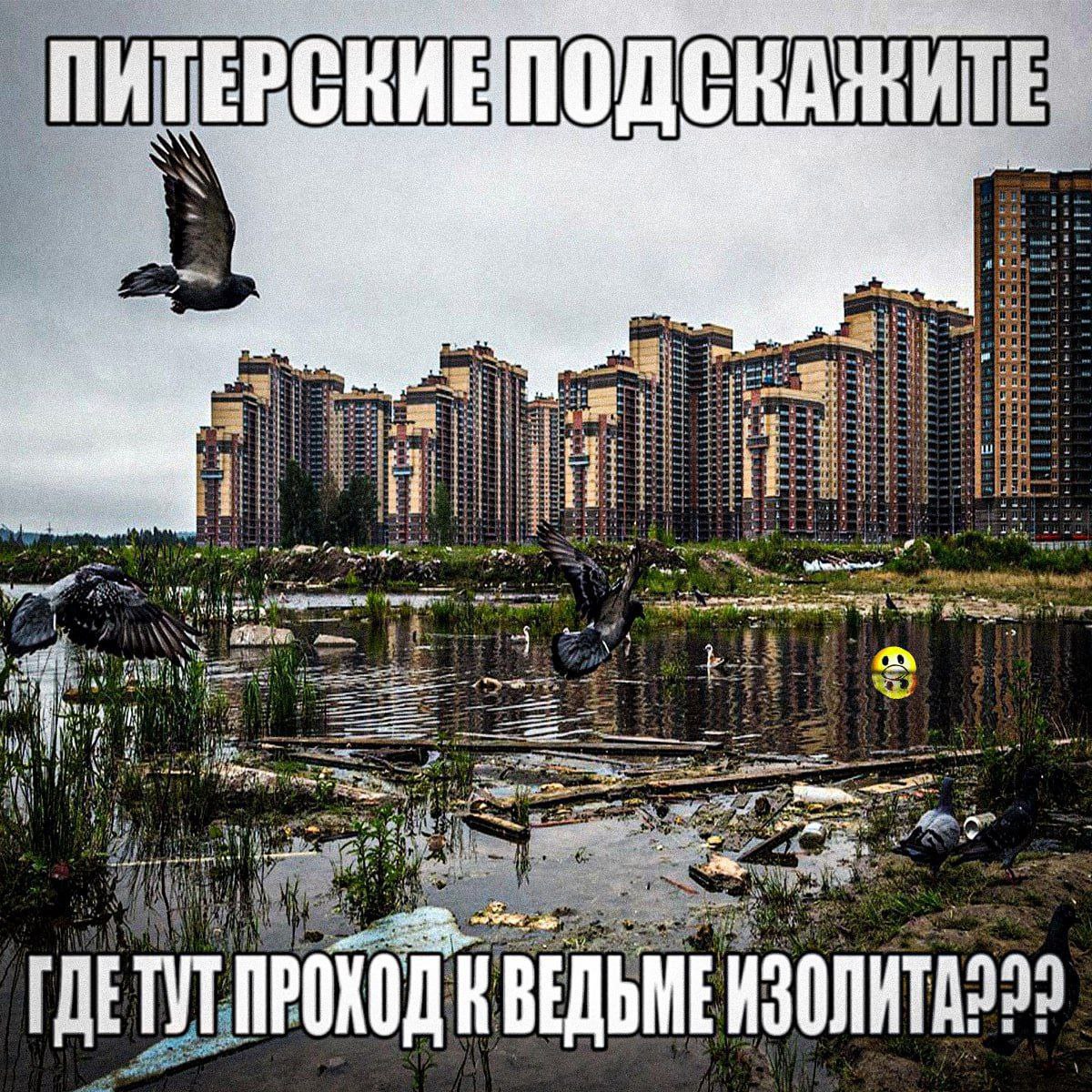 Nickro666's tweet image. 