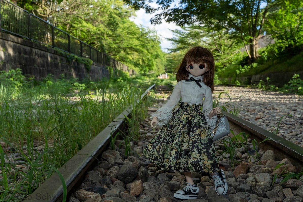 せんろのうえを　あるいてみたよ

#今夜のドール撮影120分一本勝負