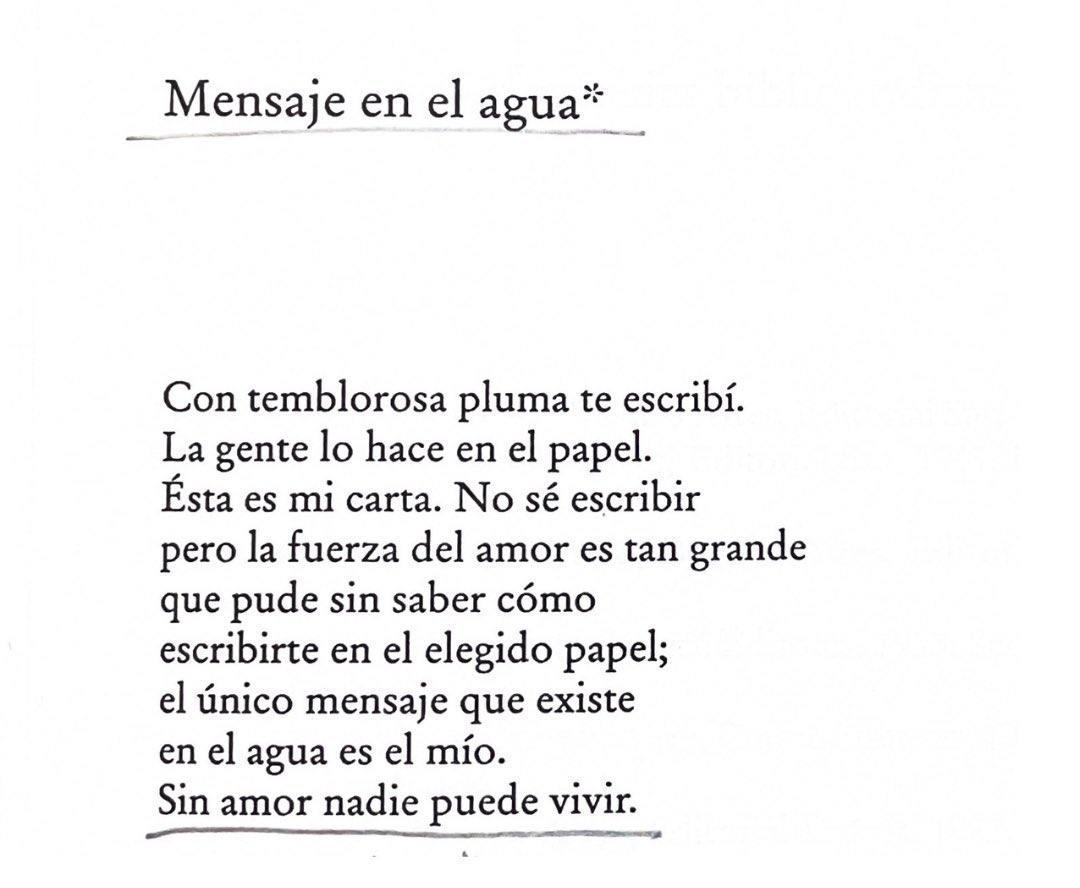 pidoelsilencio's tweet photo. feliz cumpleaños Silvina Ocampo 🌻 https://t.co/TWfzflRybV