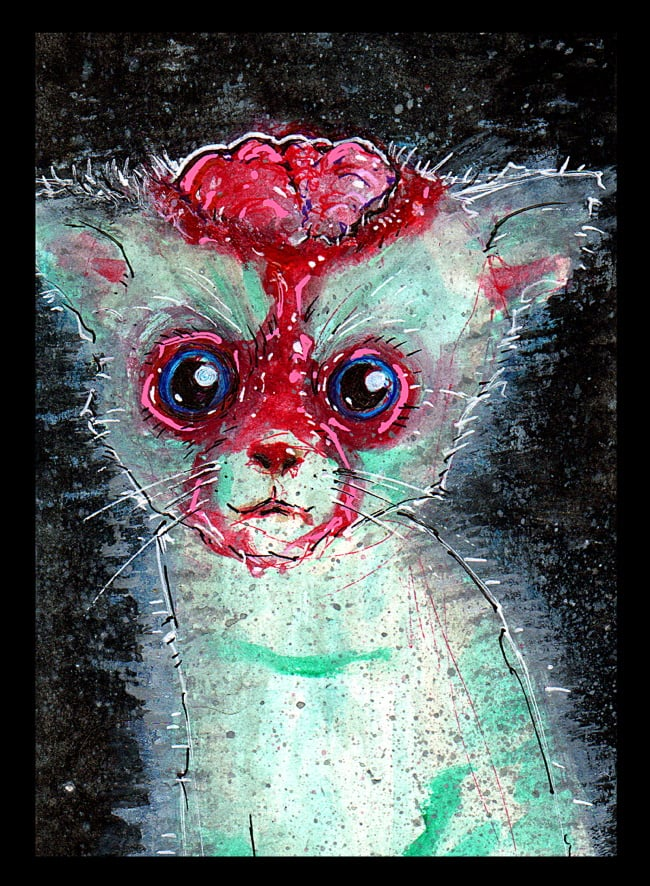 ArtistByron's tweet photo. GM
have you seen the ZombieCats? https://t.co/qtec9piqyV